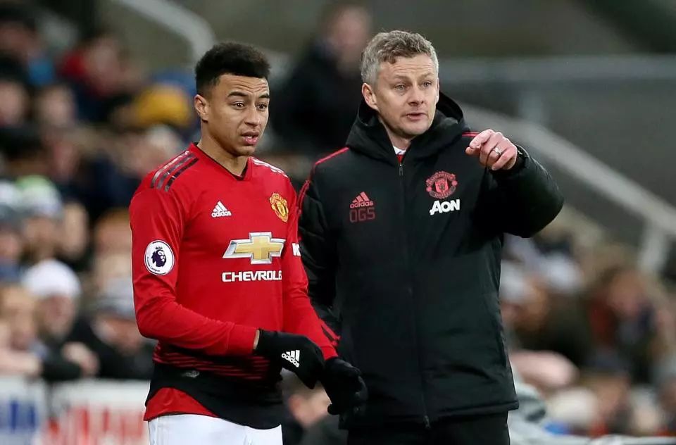 潜力且兼具 潜力且兼具